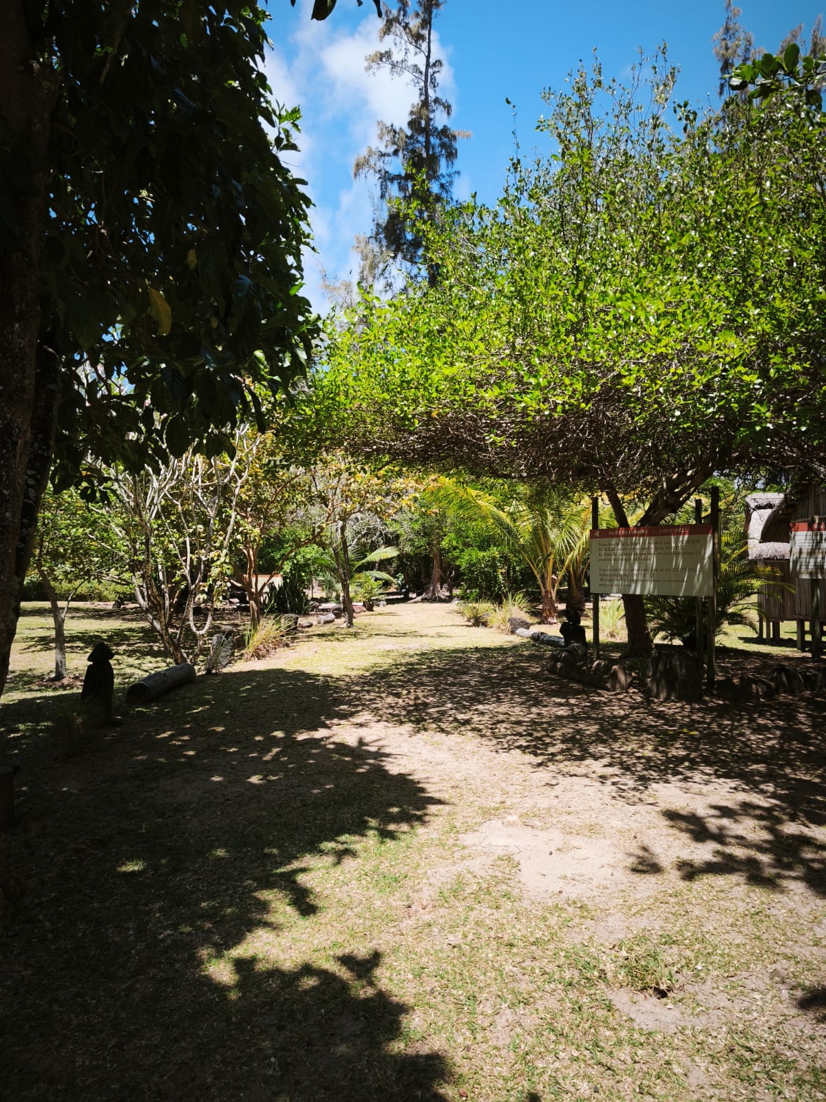 Vortex Energétique de Riambel