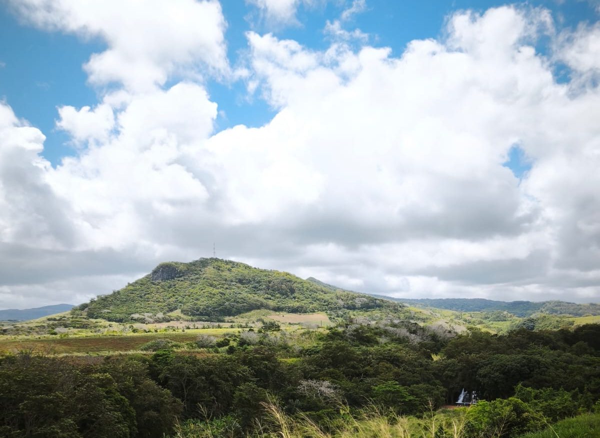 Végétation luxuriante et vue sur montagne - En route pour le Vortex Energétique de Riambel - Photo de Laurie-Anne Delannoy - Kinésiologue & Praticienne Holistique - Bordeaux & Tosse - Présentiel & Visio